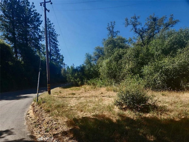 47 Texas Hill Rd, Oregon House, CA 95962 - photo 5