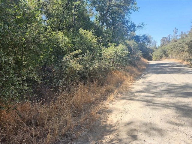 47 Texas Hill Rd, Oregon House, CA 95962 - photo 12