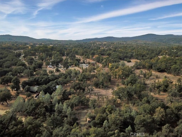 47 Texas Hill Rd, Oregon House, CA 95962 - photo 2