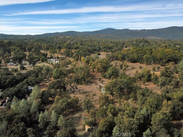 47 Texas Hill Rd, Oregon House, CA 95962 - photo 19