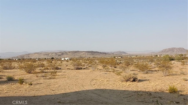 1729 N Deer Trl, Landers, CA 92285 - mountain view with rural landscape