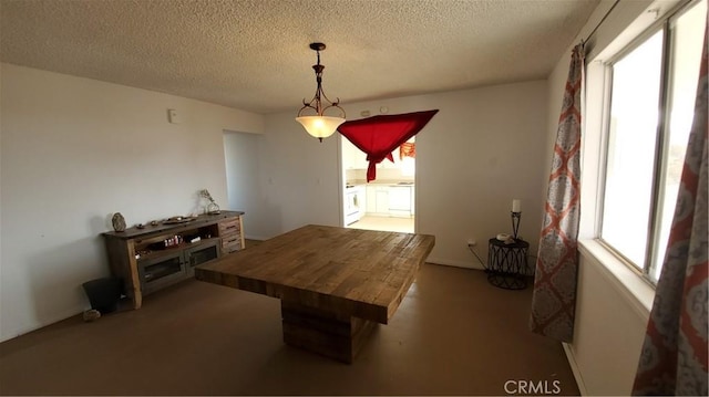 1729 N Deer Trl, Landers, CA 92285 - dining area with carpet flooring and a textured ceiling
