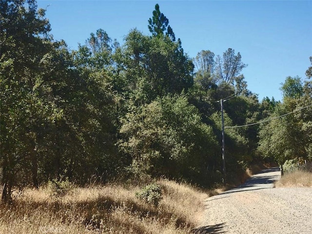 48 Rices Texas Hill Rd, Oregon House, CA 95962 - photo 8