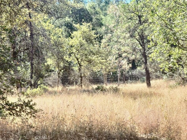 48 Rices Texas Hill Rd, Oregon House, CA 95962 - photo 4