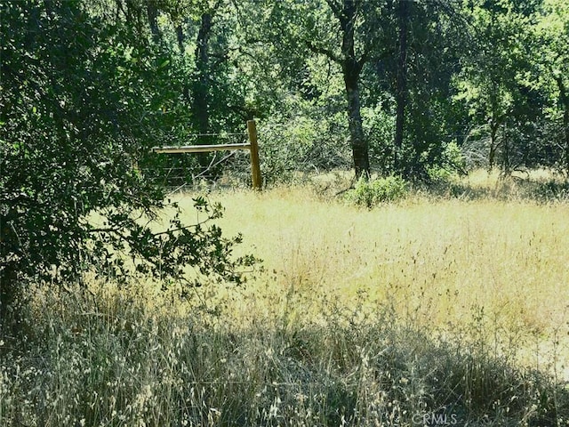 48 Rices Texas Hill Rd, Oregon House, CA 95962 - photo 1