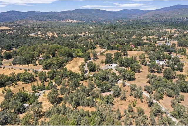 48 Rices Texas Hill Rd, Oregon House, CA 95962 - photo 2