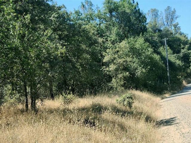 48 Rices Texas Hill Rd, Oregon House, CA 95962 - photo 9