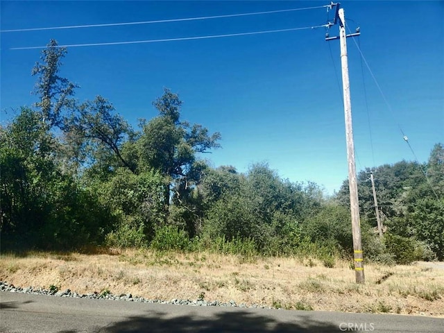 48 Rices Texas Hill Rd, Oregon House, CA 95962 - photo 12