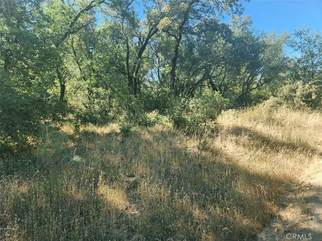 48 Rices Texas Hill Rd, Oregon House, CA 95962 - photo 10