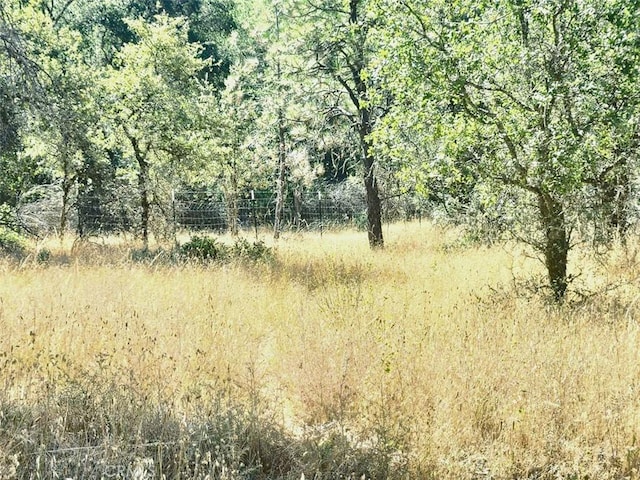 48 Rices Texas Hill Rd, Oregon House, CA 95962 - photo 3
