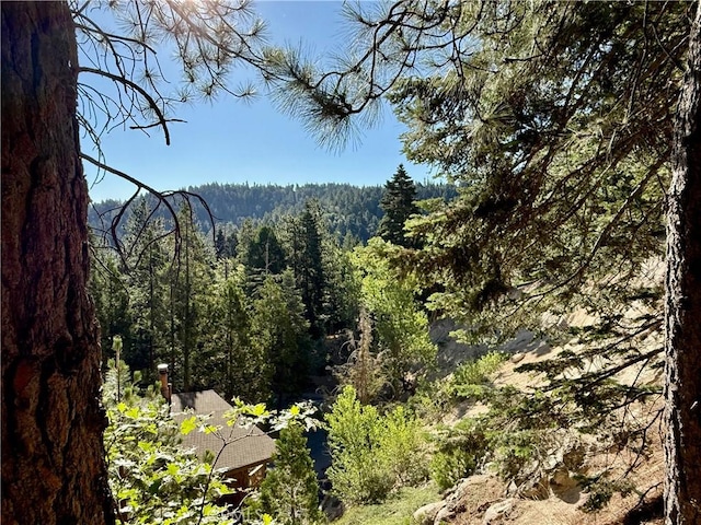 872 Sierra Vista Dr Unit 30, Twin Peaks, CA 92391 - photo 1