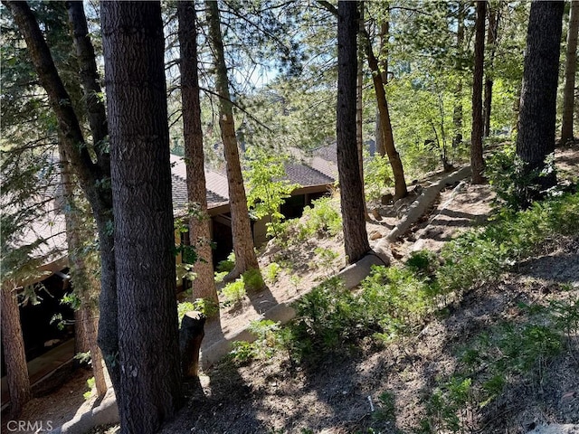 872 Sierra Vista Dr Unit 30, Twin Peaks, CA 92391 - photo 30