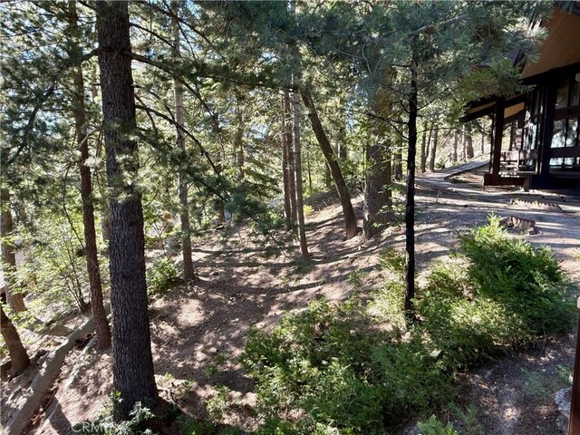 872 Sierra Vista Dr Unit 30, Twin Peaks, CA 92391 - photo 34