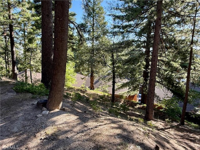 872 Sierra Vista Dr Unit 30, Twin Peaks, CA 92391 - photo 29