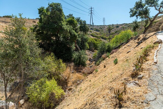 9600 Green Verdugo Dr, Sunland, CA 91040 - photo 43