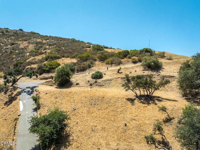 9600 Green Verdugo Dr, Sunland, CA 91040 - photo 64