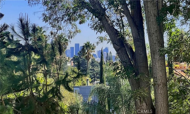 5924 Graciosa Dr, Los Angeles, CA 90068 - photo 7