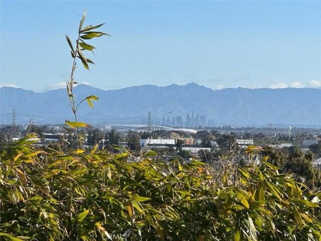 1505 11th St, Manhattan Beach, CA 90266 - photo 51