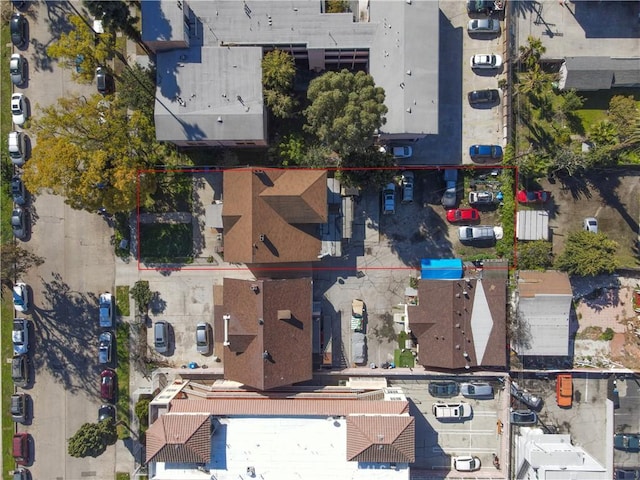 1619 S St Andrews Pl, Los Angeles, CA 90019 - photo 4