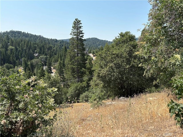 26805 Inyo Ct, Lake Arrowhead, CA 92352