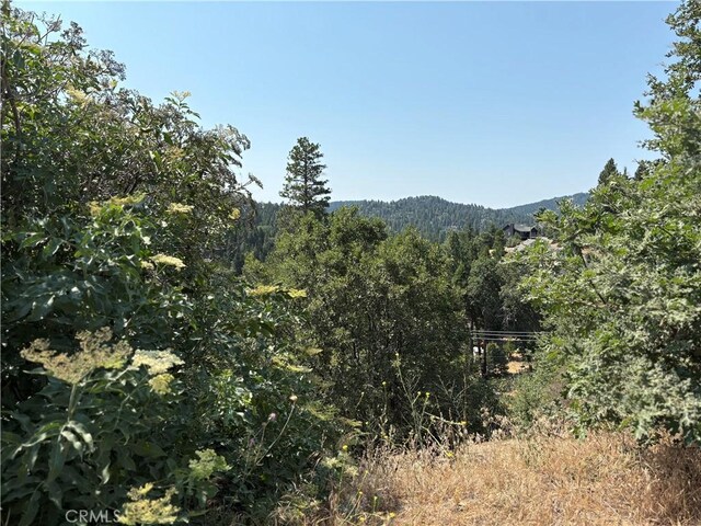 26805 Inyo Ct, Lake Arrowhead, CA 92352