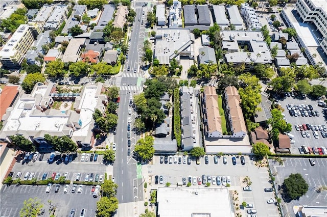 103 N Catalina Ave, Pasadena, CA 91106 - photo 34
