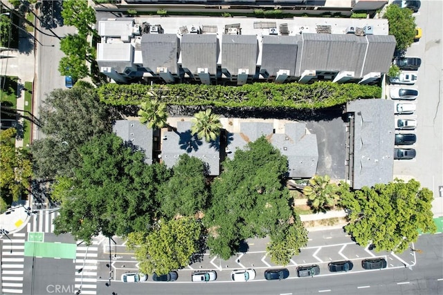 103 N Catalina Ave, Pasadena, CA 91106 - photo 32