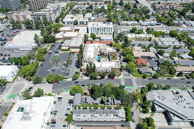 103 N Catalina Ave, Pasadena, CA 91106 - photo 30
