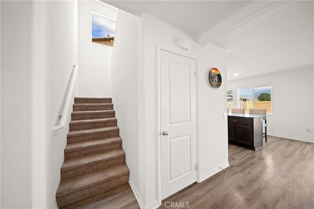 731 Winding Trl, San Jacinto, CA 92582 - photo 13