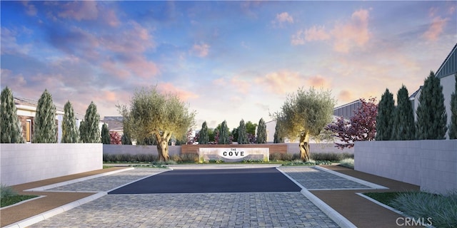 2064 E Pearl St, Encinitas, CA 92024 - view of decorative road
