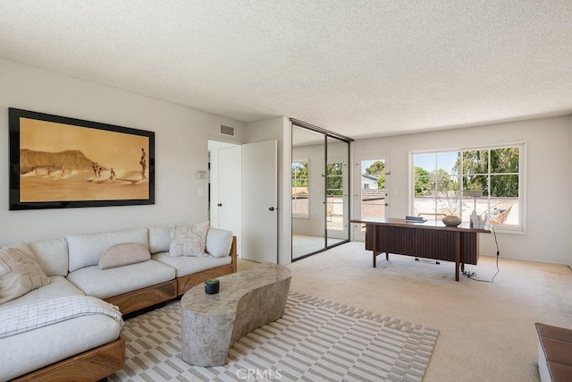 2443 Windward Ln, Newport Beach, CA 92660 - carpeted living room with a textured ceiling
