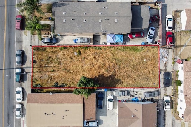 6205 S San Pedro St, Los Angeles, CA 90003 - photo 5
