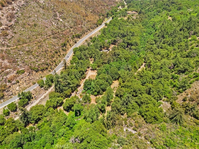 501 S Mountain Ave, Mt Baldy, CA 91759 - photo 29