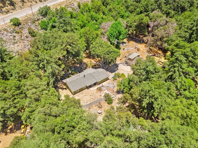 501 S Mountain Ave, Mt Baldy, CA 91759 - photo 34