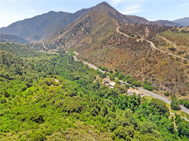 501 S Mountain Ave, Mt Baldy, CA 91759 - photo 30