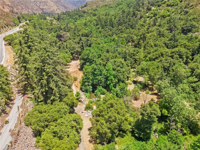 501 S Mountain Ave, Mt Baldy, CA 91759 - photo 35