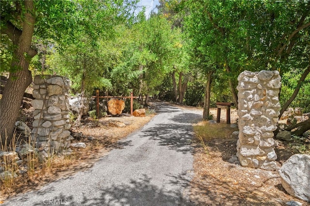 501 S Mountain Ave, Mt Baldy, CA 91759 - photo 1