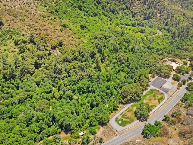 501 S Mountain Ave, Mt Baldy, CA 91759 - photo 31