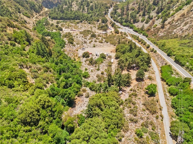 501 S Mountain Ave, Mt Baldy, CA 91759 - photo 36