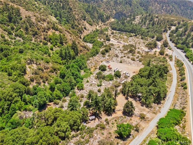 501 S Mountain Ave, Mt Baldy, CA 91759 - photo 37