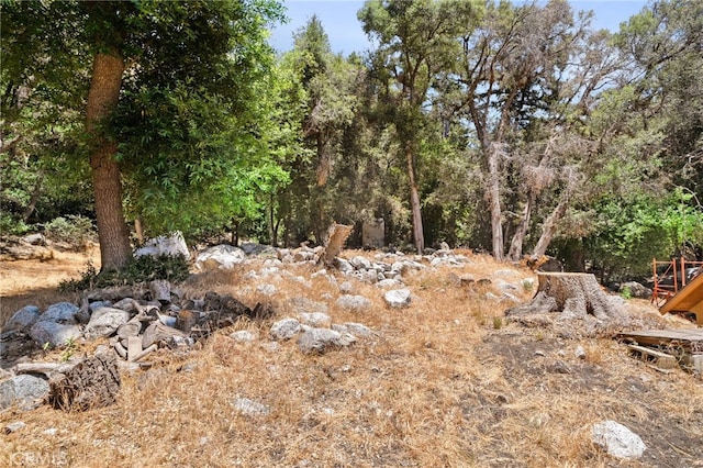 501 S Mountain Ave, Mt Baldy, CA 91759 - photo 21