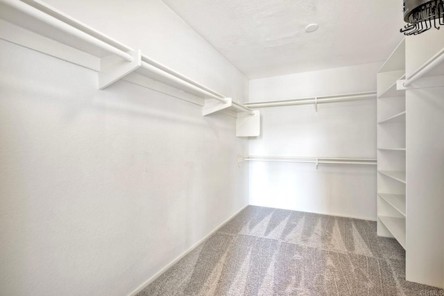61 Via Larga Vis, Bonsall, CA 92003 - spacious closet with carpet floors