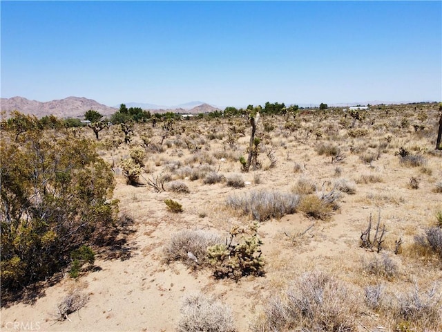 4510933 Ivanhoe Rd, Lucerne Valley, CA 92356 - photo 22