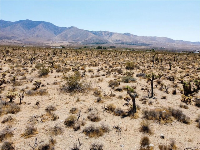 4510933 Ivanhoe Rd, Lucerne Valley, CA 92356 - photo 14