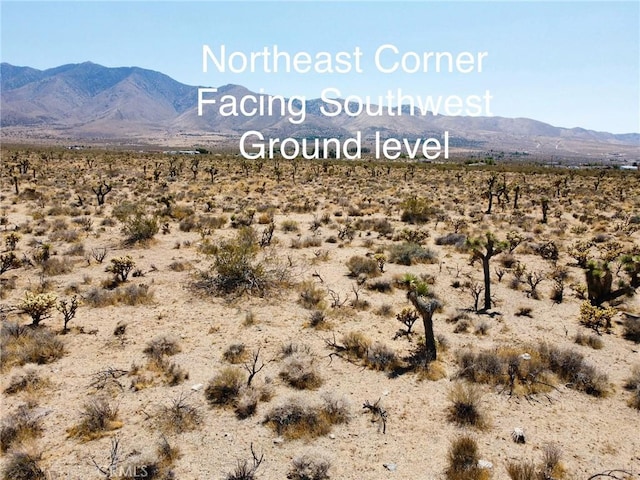 4510933 Ivanhoe Rd, Lucerne Valley, CA 92356 - photo 13