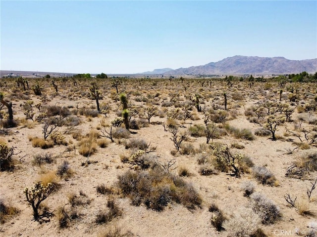 4510933 Ivanhoe Rd, Lucerne Valley, CA 92356 - photo 17