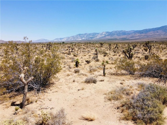 4510933 Ivanhoe Rd, Lucerne Valley, CA 92356 - photo 26