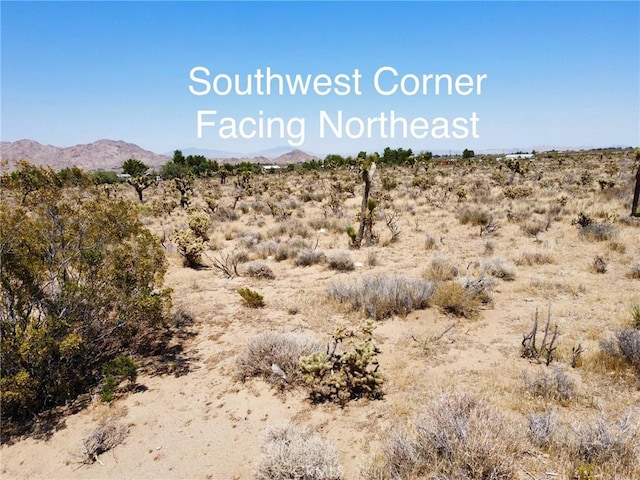 4510933 Ivanhoe Rd, Lucerne Valley, CA 92356 - photo 21