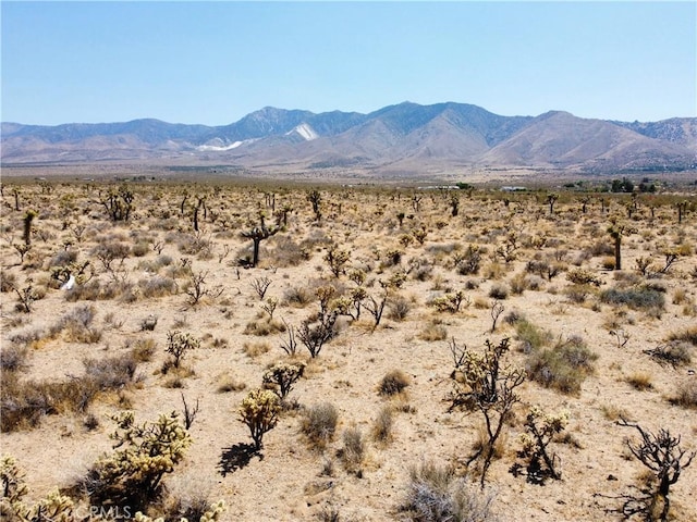 4510933 Ivanhoe Rd, Lucerne Valley, CA 92356 - photo 9