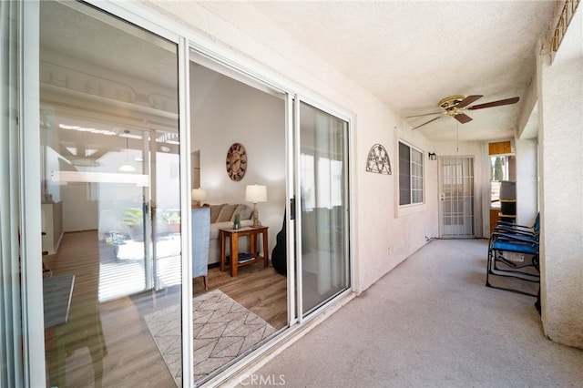 11575 Winifred Dr, Apple Valley, CA 92308 - photo 18